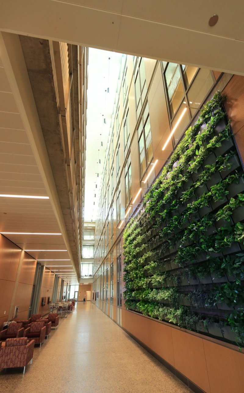 Central Michigan University - Biosciences Building preview 2